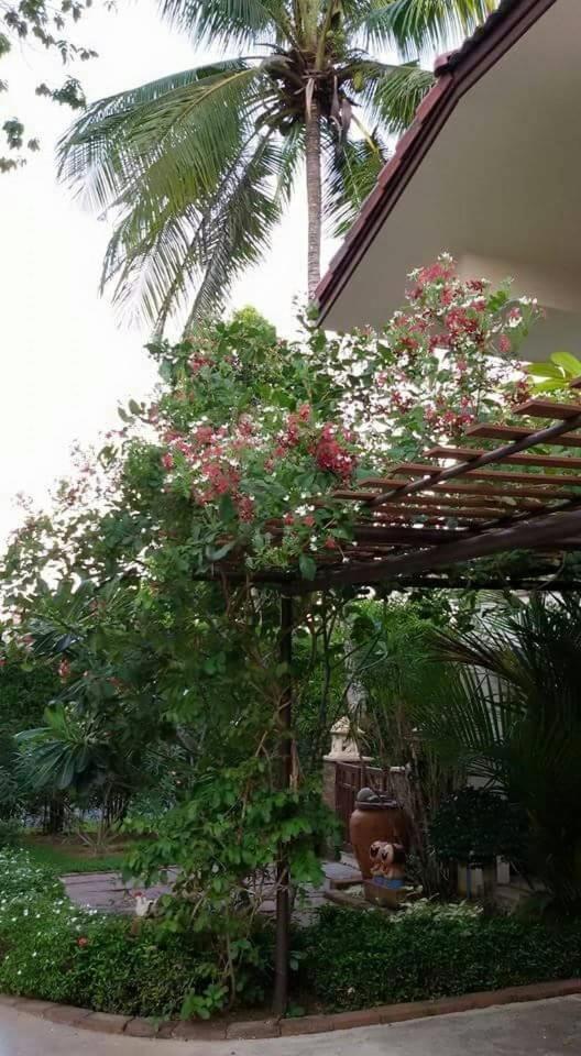 Periwinkle Villa كو تشانغ المظهر الخارجي الصورة